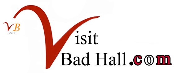 Logo du site